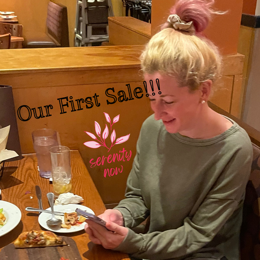 Our first sale! And other progress! - Blog 7